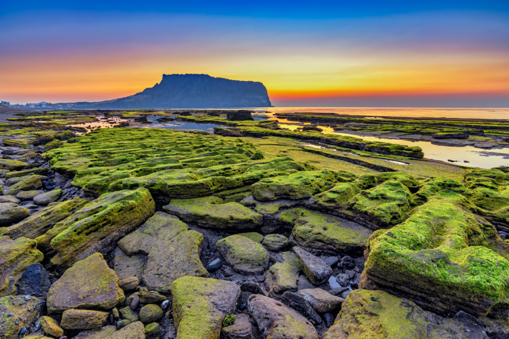 "그 돈이면 안 간다".. 휴가인데 찬밥 신세 된 제주도.. 왜? 1 제주도