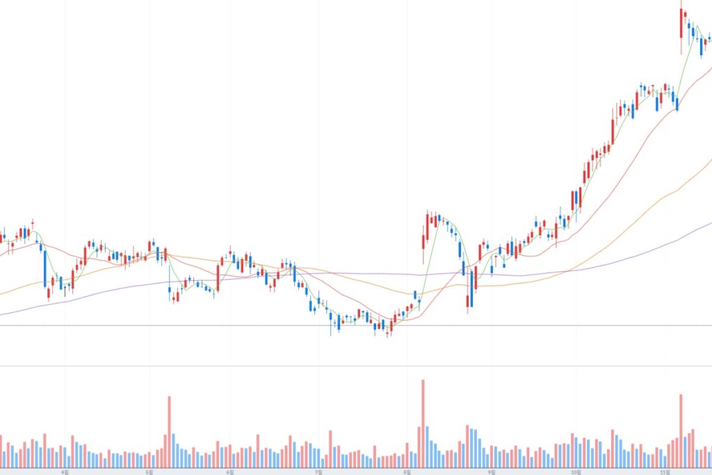 엔비디아
