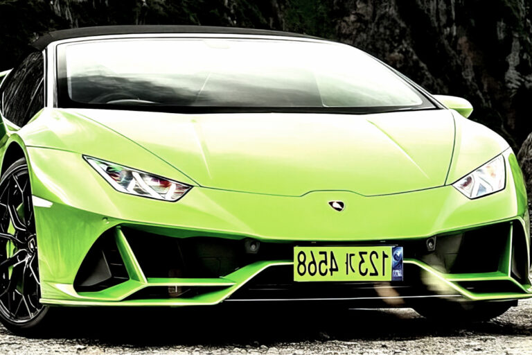 연두색 번호판 법인차