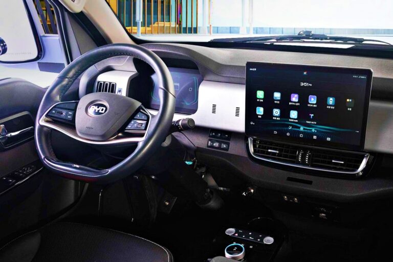 BYD T4K 국내 점유율