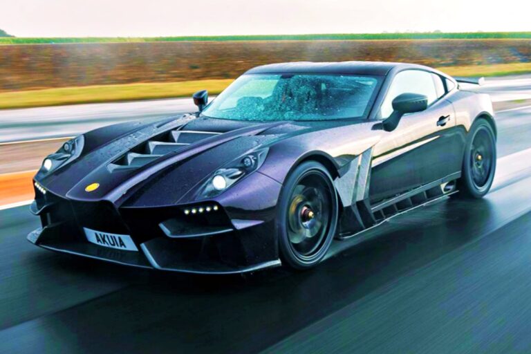 지네타 아쿨라 출시