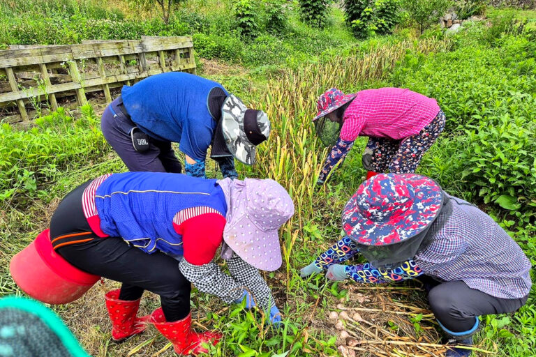 귀농·귀촌 만족도