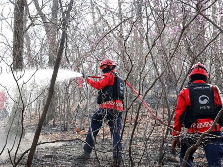 산불 피해 지원