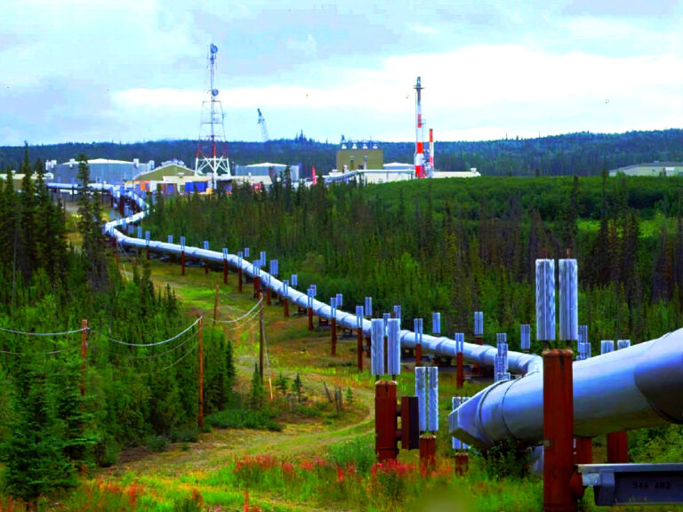 미국 LNG