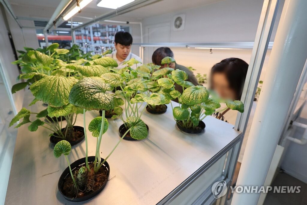 "불가능한 일 아니었다"…사우디 홀린 한국 기업의 기술력 5 농심