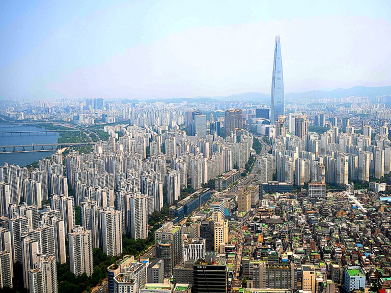 토지거래허가구역 경매