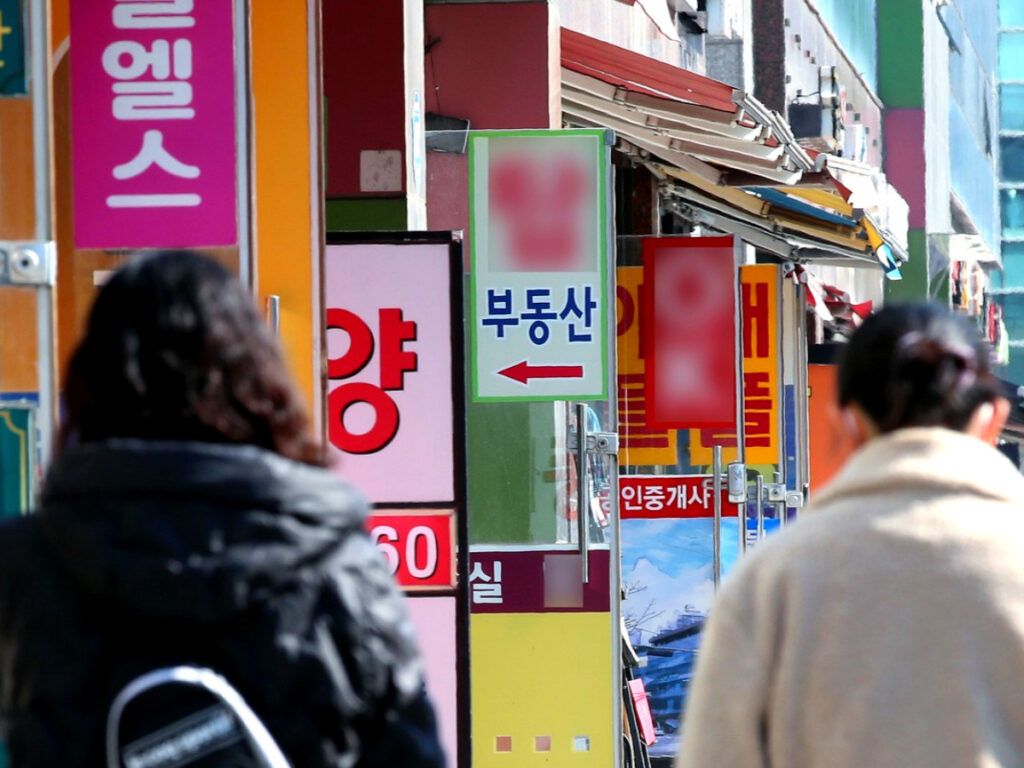 개업 공인중개사 감소
