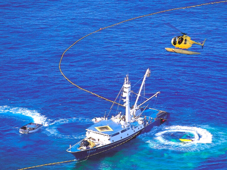 김재철 명예회장