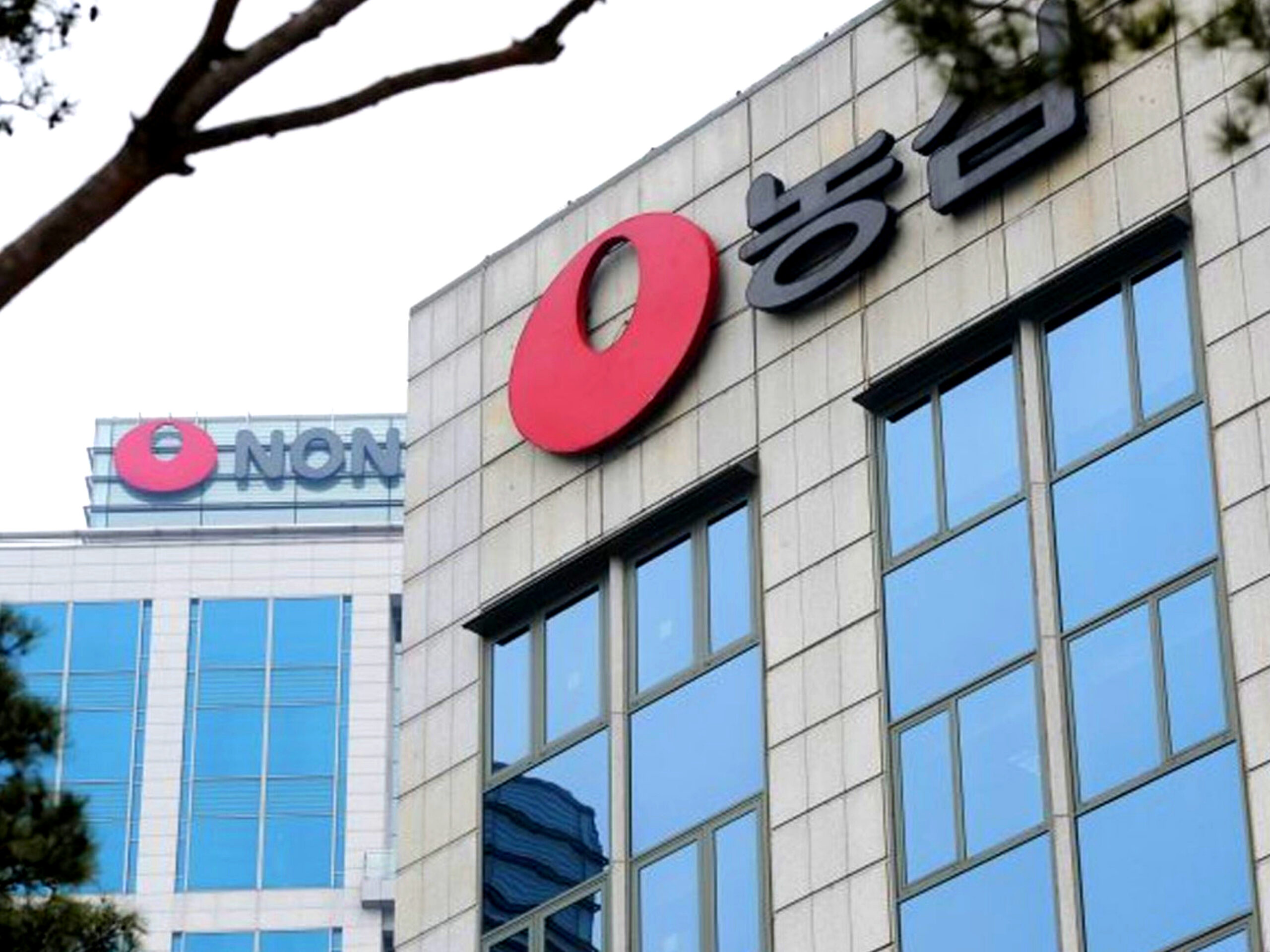 국민 입맛 사로잡더니 "농심이 드디어"…50년 만에 ‘또’ 탄생 시켰다 1 농심