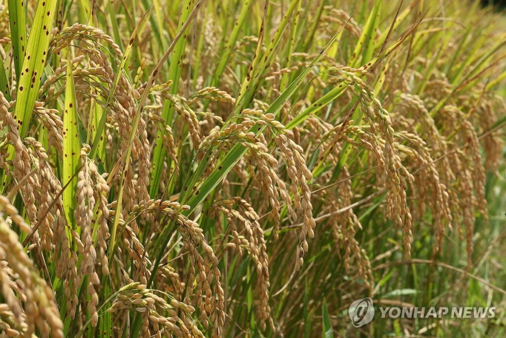 일본