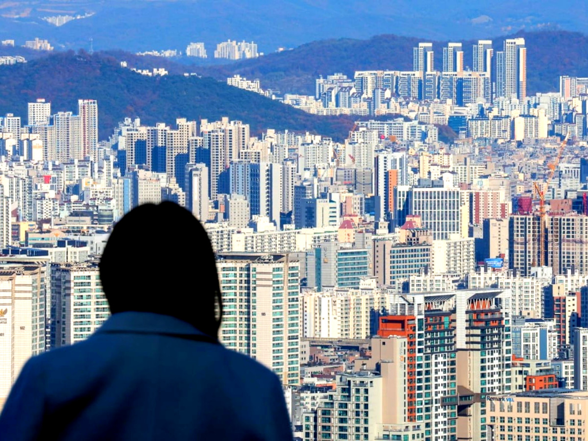 압류 경매