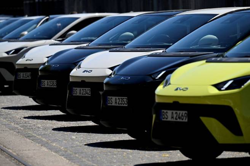 BYD 자동차 가격 인하