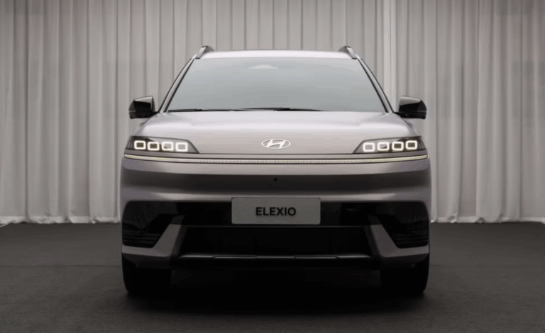 현대차 중국 점유율