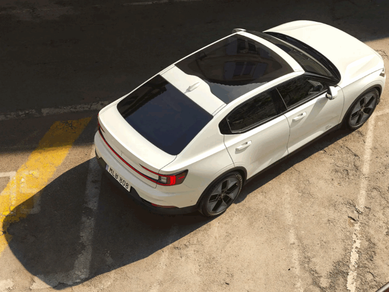 폴스타, 2025 브랜드 고객충성도 대상