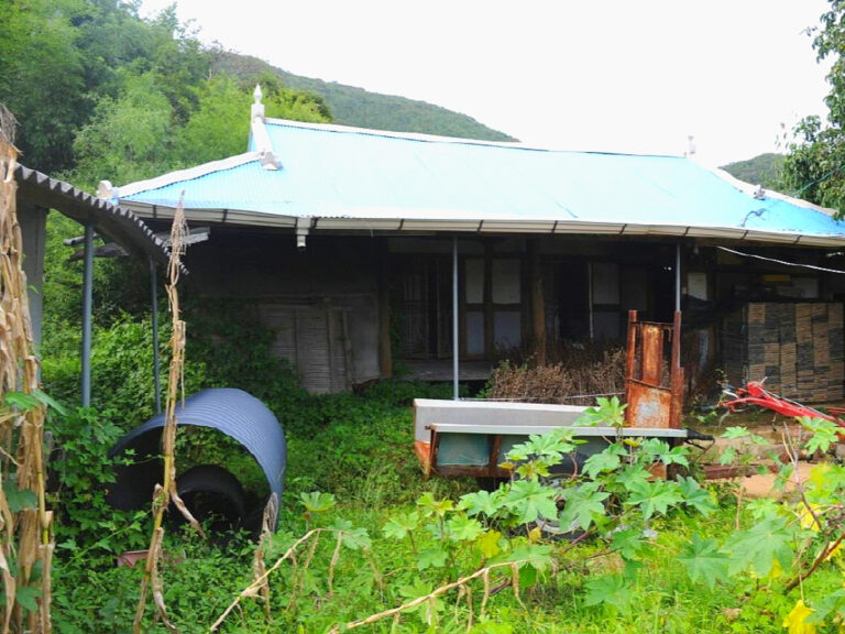 빈집 방치 심각