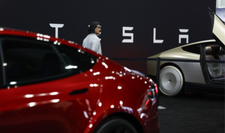 테슬라 유럽 판매량 감소