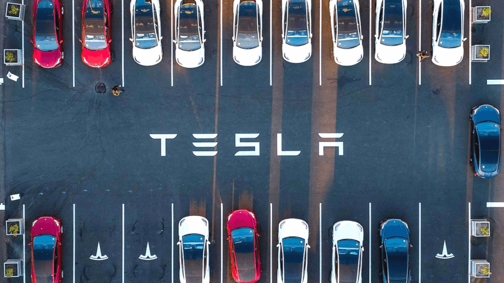 테슬라 유럽 판매량 감소