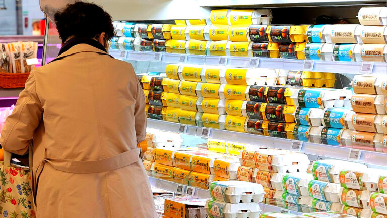 계란 가격 급등