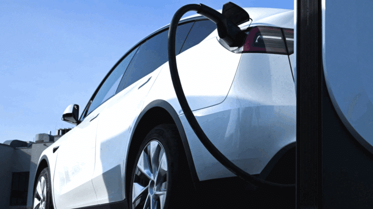 테슬라 유럽 판매량 감소