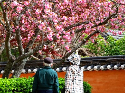 귀촌 인구 증가