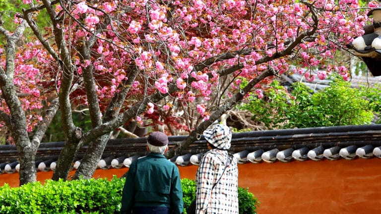 귀촌 인구 증가