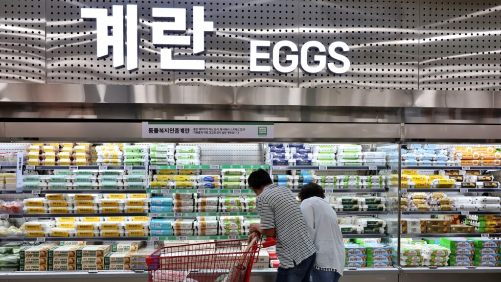 "10개 중 7개가 올랐다"...최근 6개월 동안 무슨 일이 1 물가