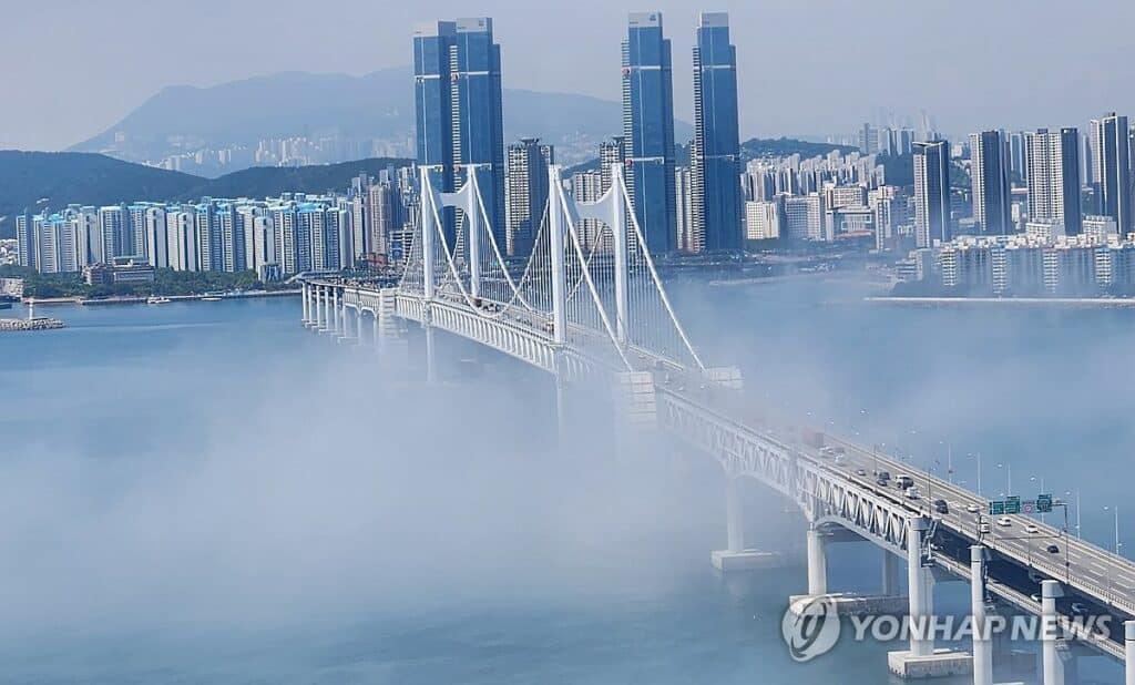 “이 기회 놓치면 끝”… 李 대통령 '한 마디'에 도시 전체가 움직이기 시작했다 4 대통령