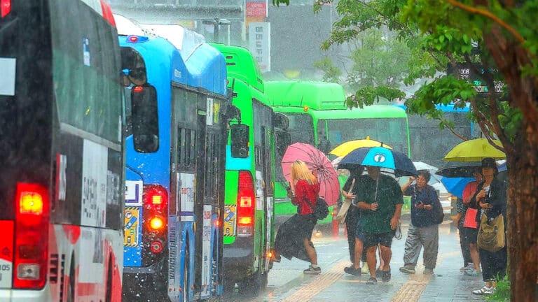 폭우 피해에 물가 상승 우려