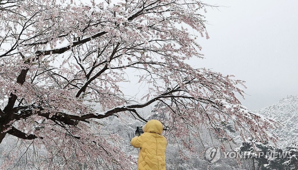 "장마인데 이상징후 포착됐다"…전문가들 무서운 경고에 '깜짝' 4 장마