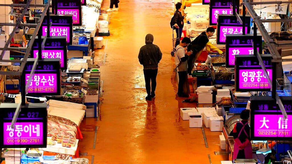 저렴한 술 안주로 최고였는데 "이젠 엄두도 안 나요"… 서민들 '한숨' 1 수산물