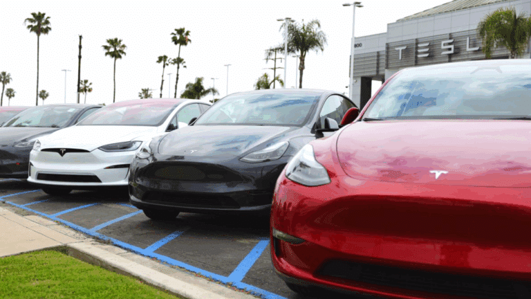 테슬라 미국 시장 점유율 하락