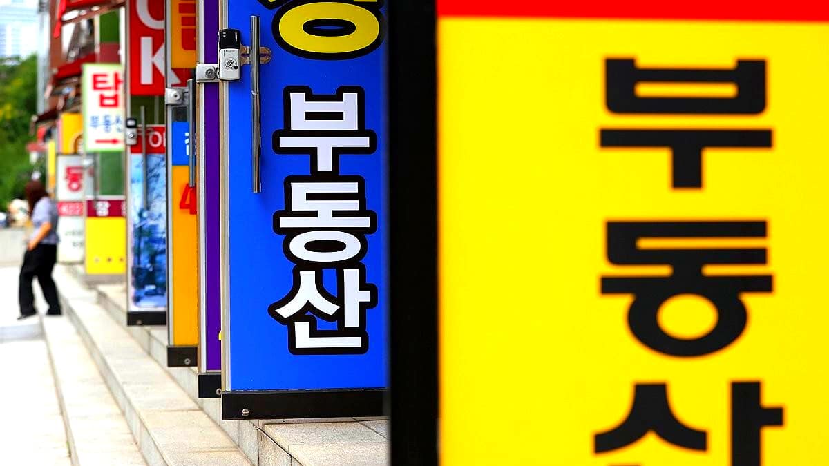 전세사기