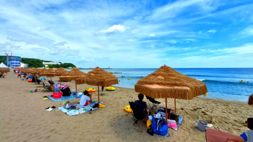 여름 여행지로 ‘우르르’ 몰리더니 ‘날벼락'..."급기야 지자체가 칼 빼들었다" 1 양양