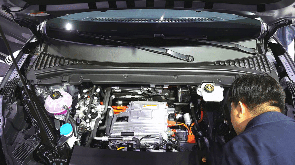 BYD 국내 판매 실적