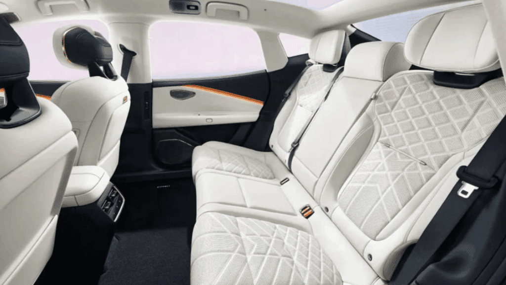 "테슬라 긴장해라?"...'523마력' 프리미엄 신차, 마침내 등장 4 링크앤코 10 EM-P 제원