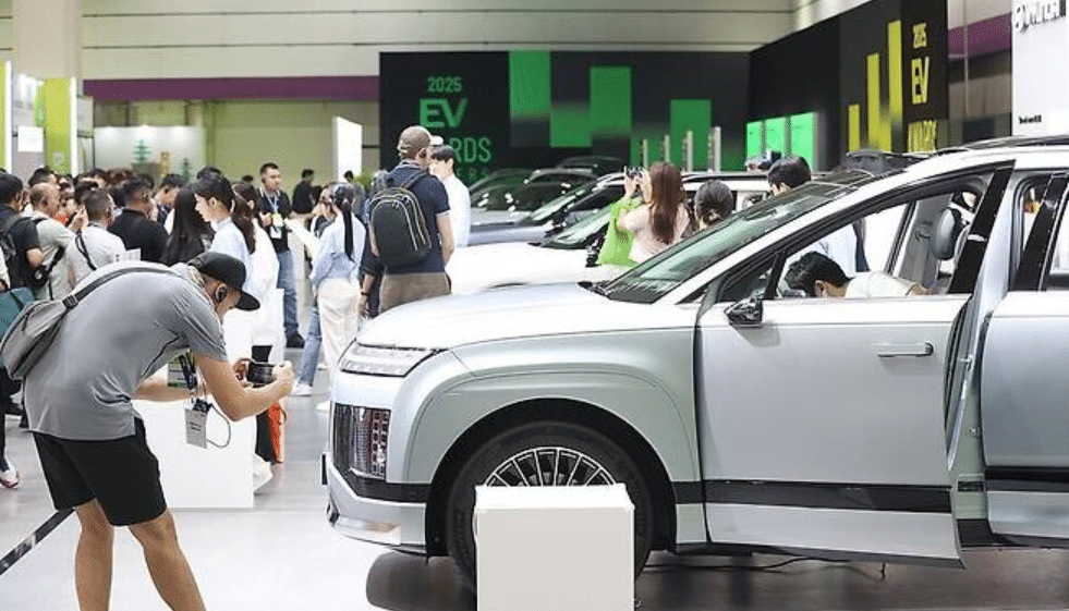 8월 국내 전기차 판매량