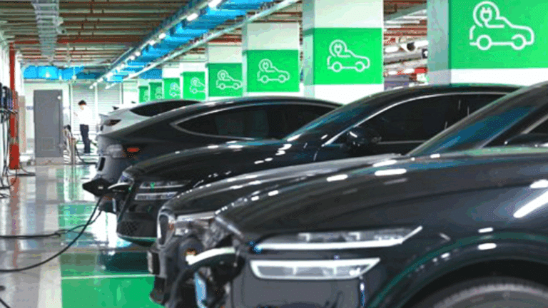 8월 국내 전기차 판매량