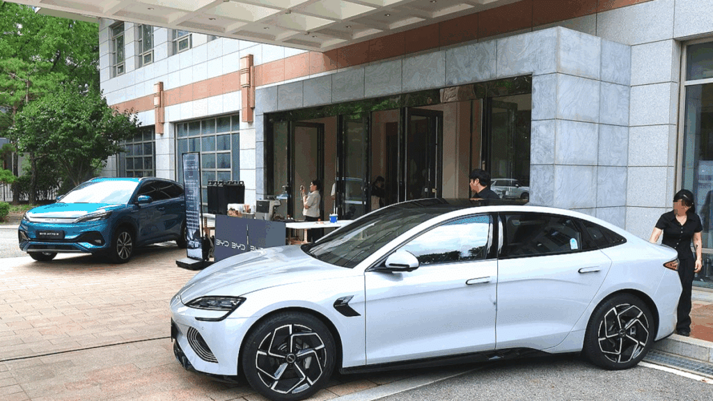 "우려가 결국 현실로"...中 전기차, '치명적 약점' 드러나자 '술렁' 1 BYD 아토3 안전도 평가 4등급