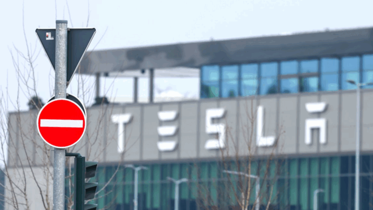 테슬라 미국 점유율 감소