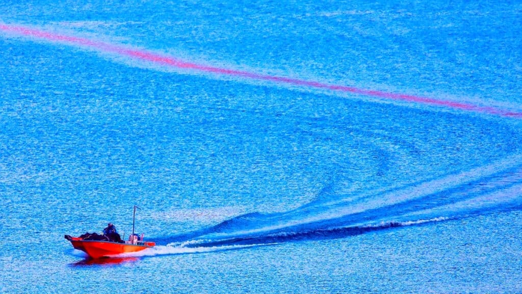 한국산 인기 폭발이라더니 "하루아침에 4100억 날릴 판"…'국민 수산물'에 무슨 일이? 1 혼획