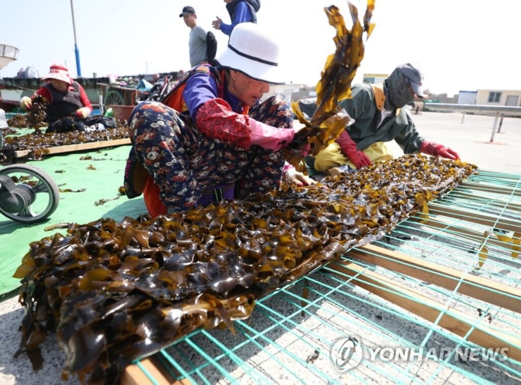"임금님 수라상에 올리던 '이것'마저"… 20년 만에 초토화, 서민들 '눈물' 4 대게