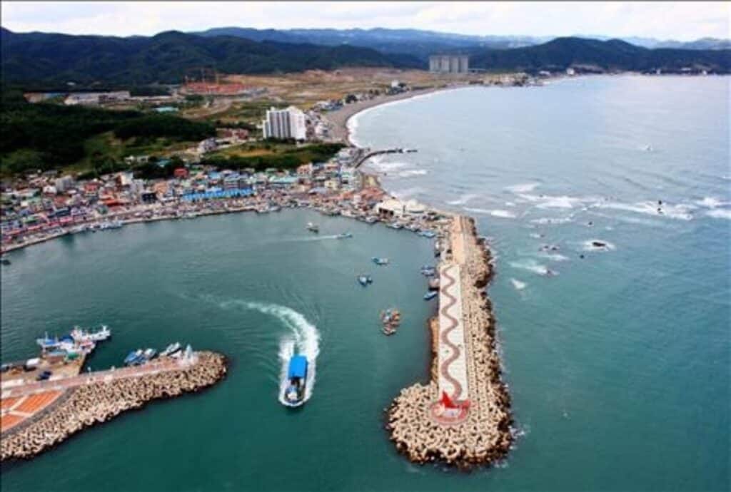 "임금님 수라상에 올리던 '이것'마저"… 20년 만에 초토화, 서민들 '눈물' 3 대게