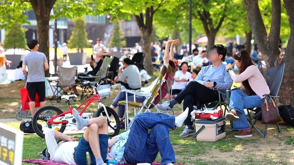 여름철 불청객 모기? "안 보인다 했더니"... 뜻밖의 이유에 '깜짝' 1 모기