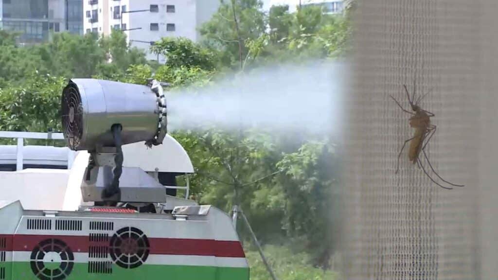 여름철 불청객 모기? "안 보인다 했더니"... 뜻밖의 이유에 '깜짝' 4 모기