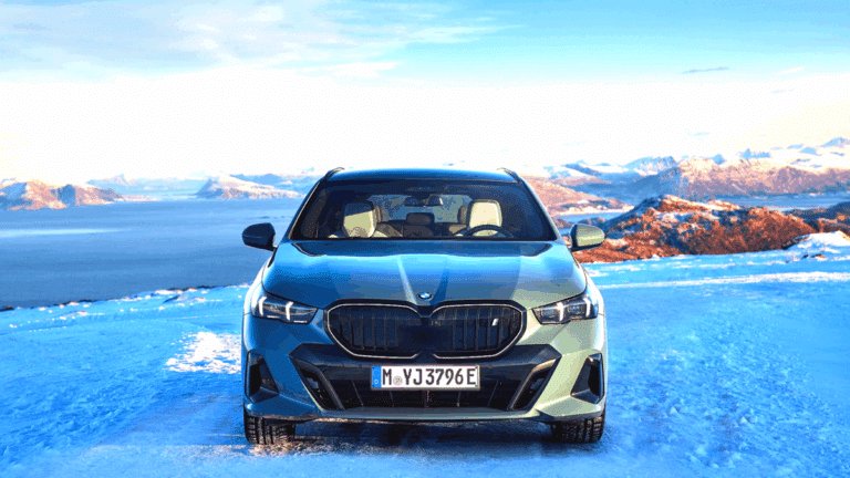 BMW그룹 전기차 국내 판매량