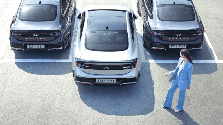 후회하는 자동차 옵션