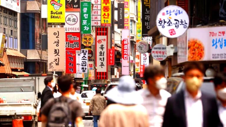 프랜차이즈 수익