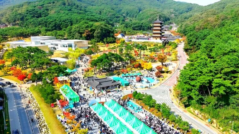 김천김밥축제 인기