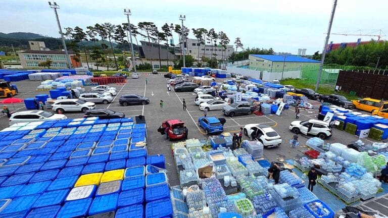 강릉 기부 생수 방치