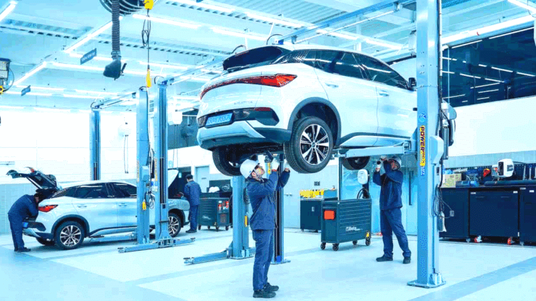 BYD 아토3 판매량